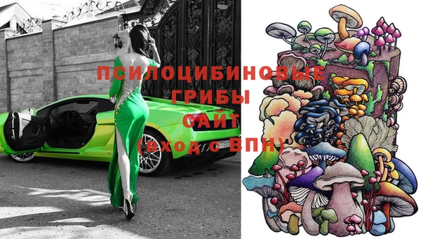 дурь Алексеевка