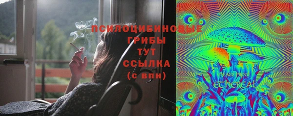 дурь Алексеевка