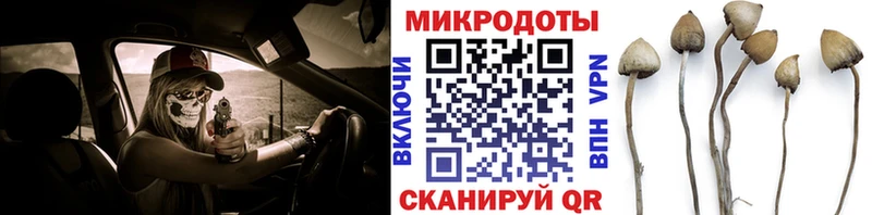 Купить  Буинск  Галлюциногенные грибы мицелий 